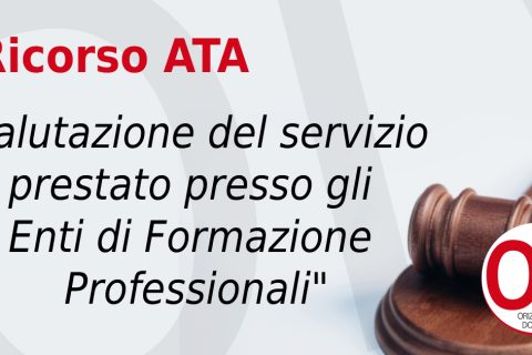 ricorso ata valutazione servizio presso enti professionali