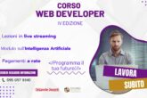 web developer